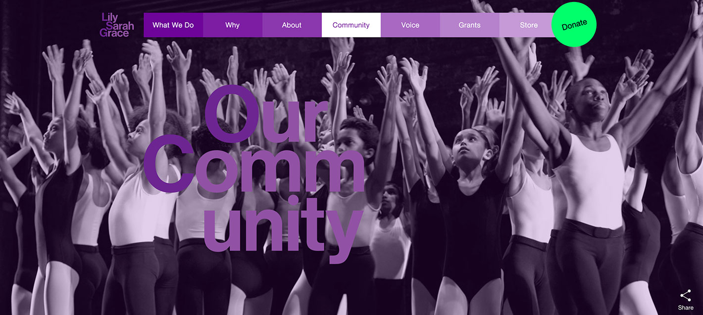 LSG Foundation website