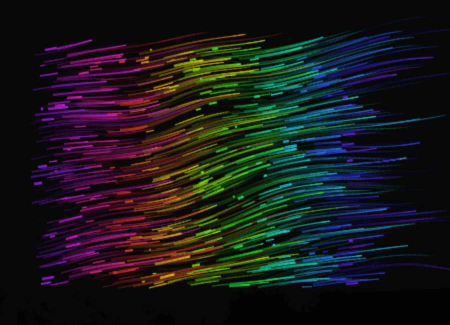 Perlin Experiment